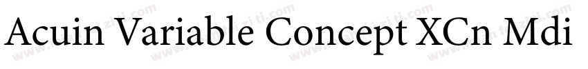Acuin Variable Concept XCn Mdi字体转换